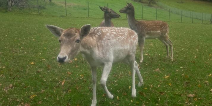 Exerzitien der Q1 in Marienberge