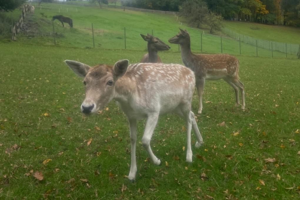 Exerzitien der Q1 in Marienberge