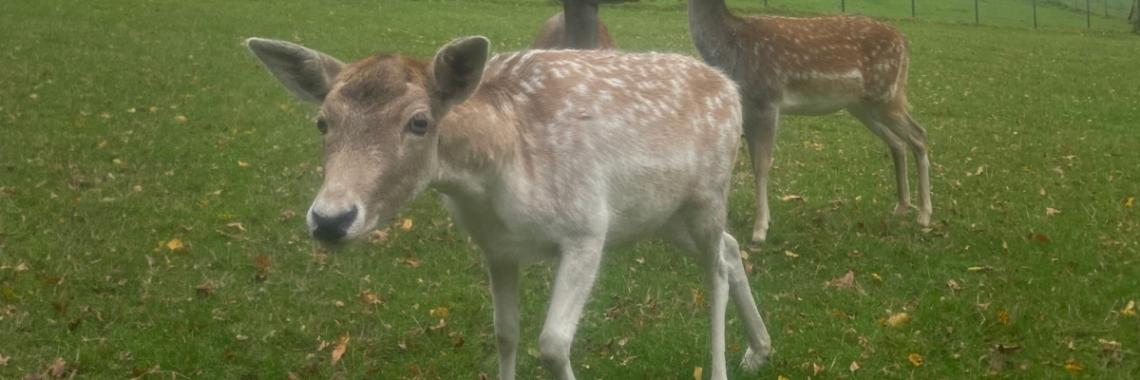 Exerzitien der Q1 in Marienberge