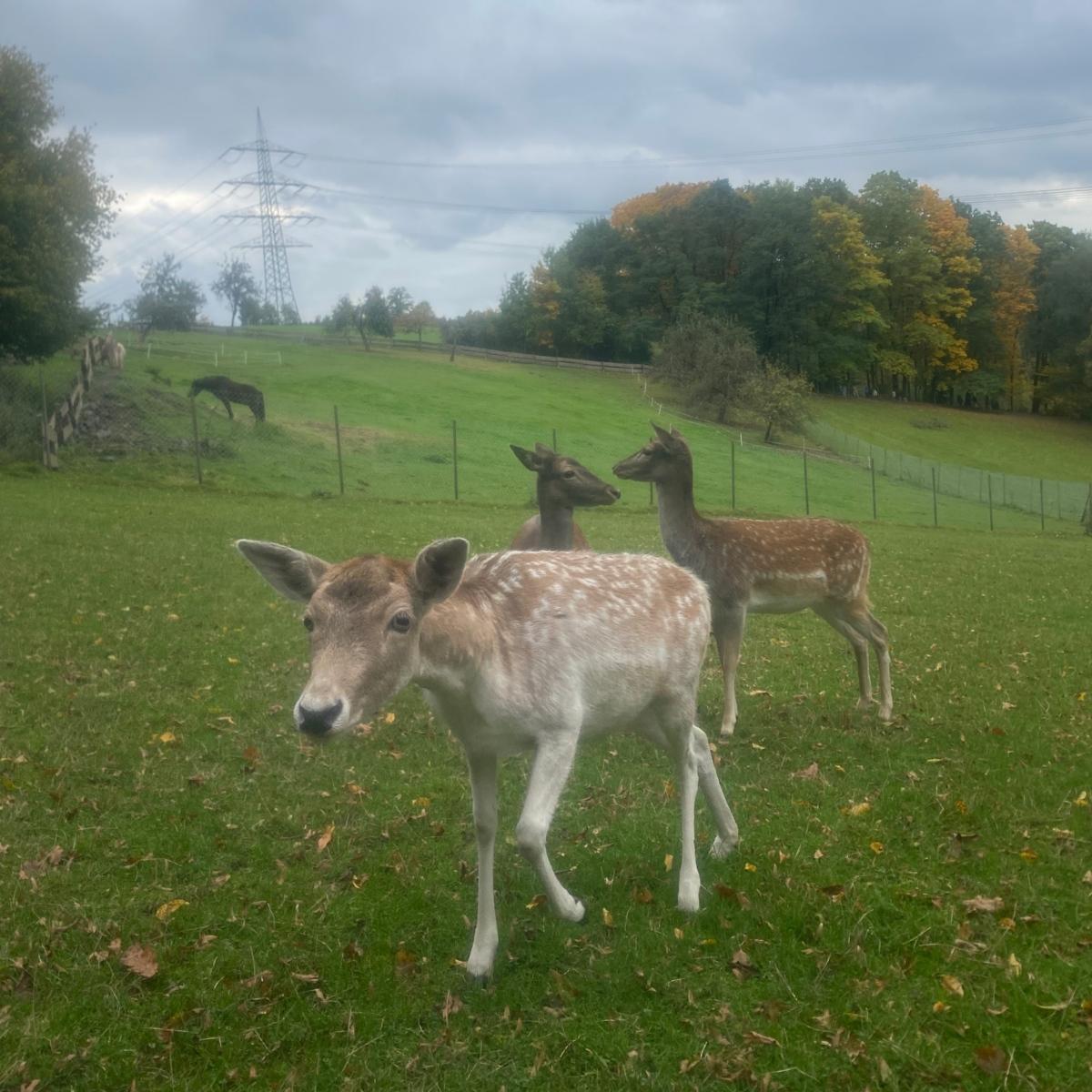 Exerzitien der Q1 in Marienberge