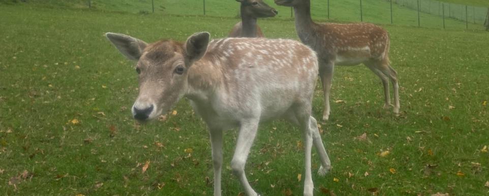 Exerzitien der Q1 in Marienberge