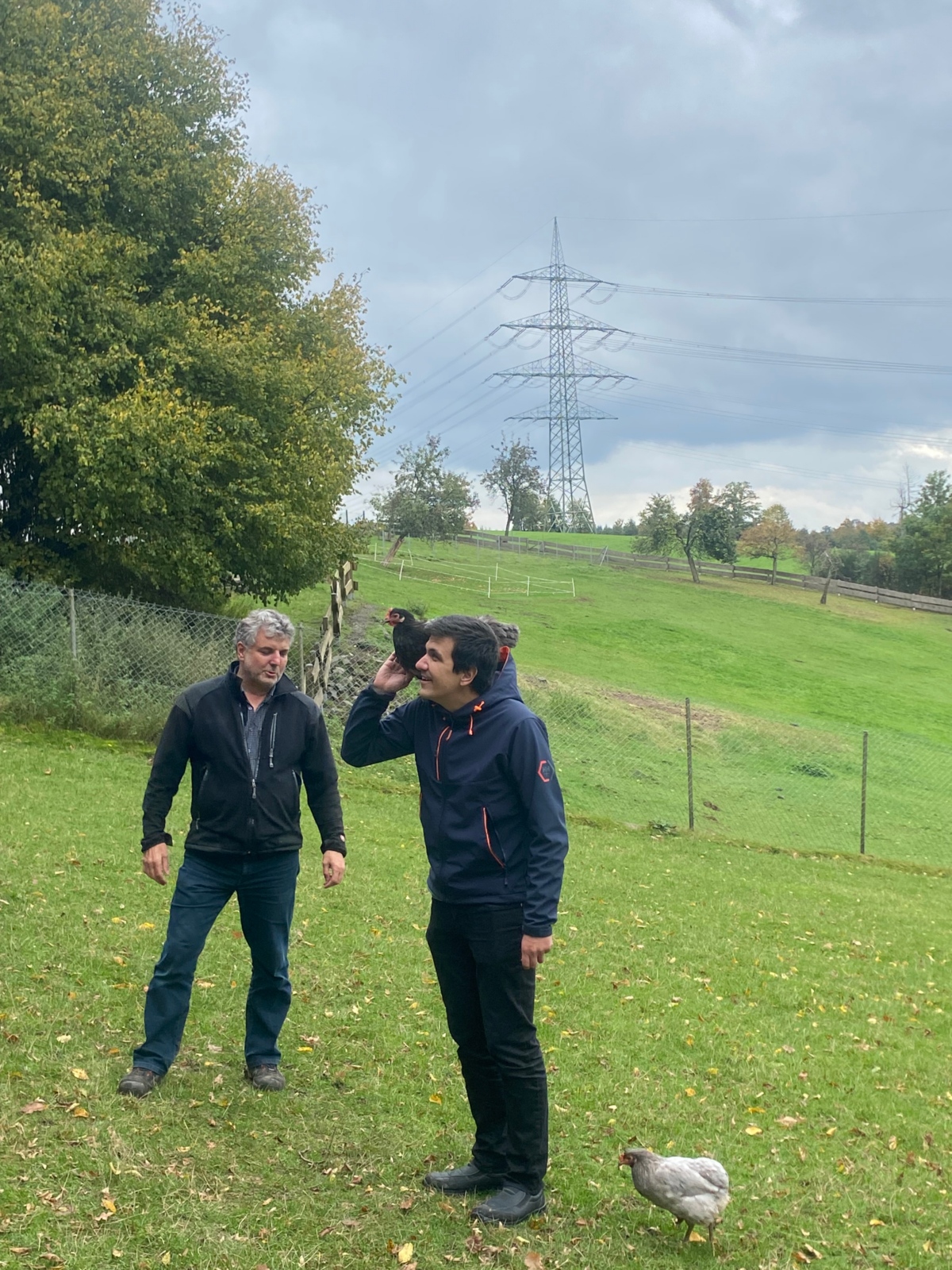 Herr Wiewiorra mit gackernden Hühnern