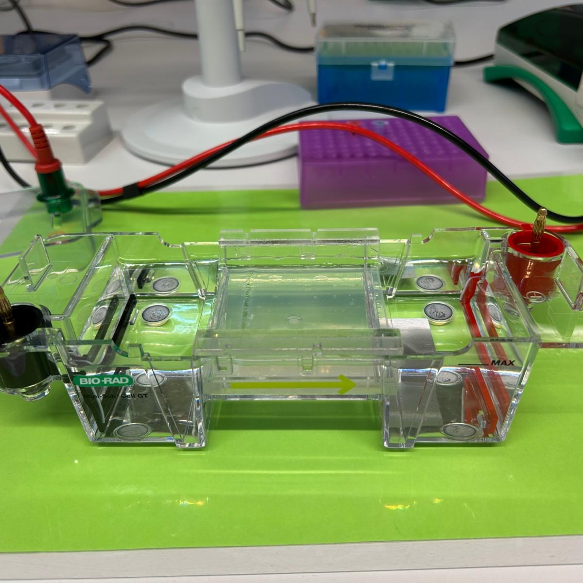 Biologie-LK und -GK (Q1) Ausflug in das BayLab Labor nach Monheim