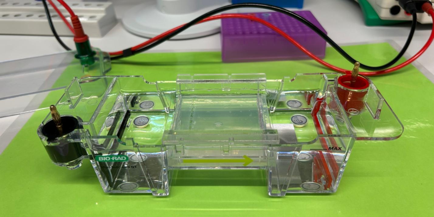 Biologie-LK und -GK (Q1) Ausflug in das BayLab Labor nach Monheim