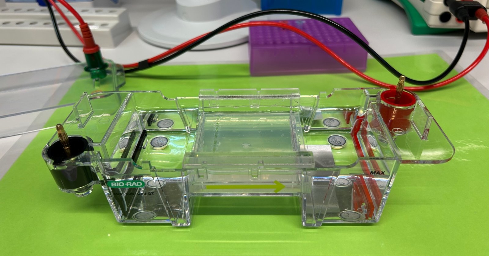 Biologie-LK und -GK Ausflug in das BayLab Labor nach Monheim