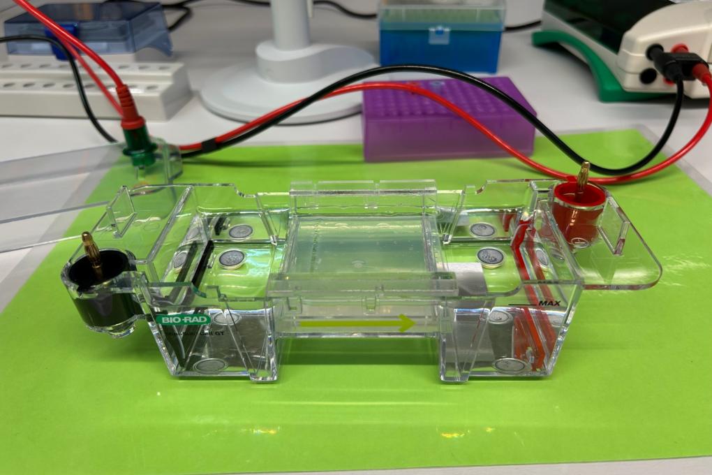 Biologie-LK und -GK (Q1) Ausflug in das BayLab Labor nach Monheim