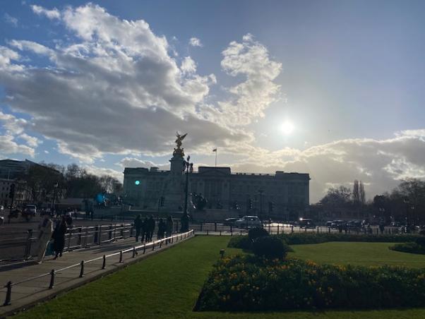 Buckinghampalace im Gegenlicht