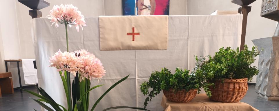 Palmaktion 2026: neue grüne Zweige an unseren Kreuzen erinnern an den Palmsonntag