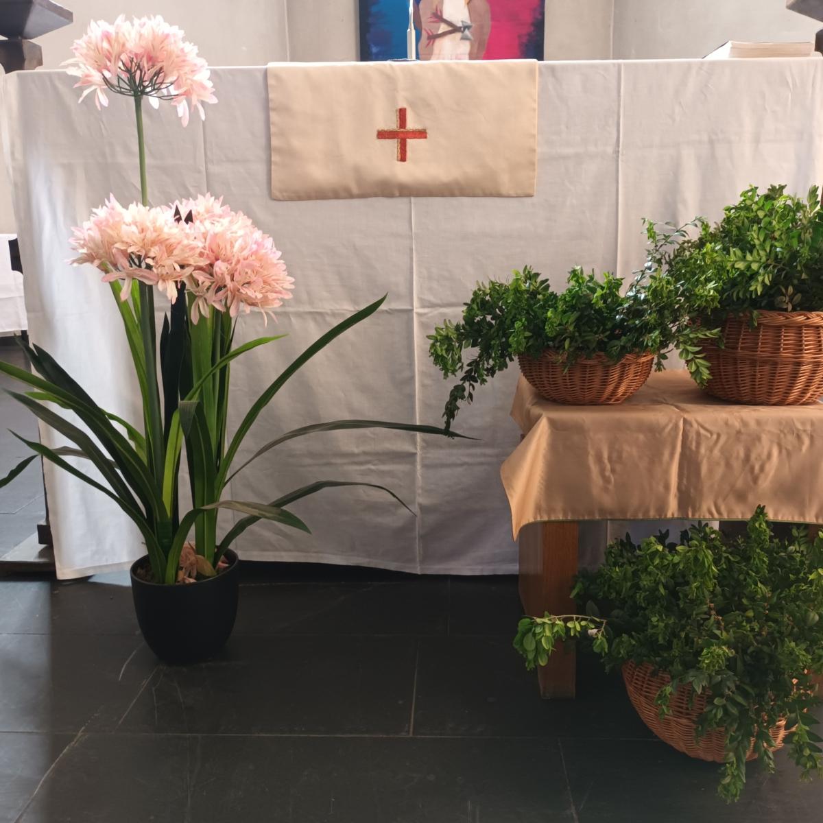 Palmaktion 2026: neue grüne Zweige an unseren Kreuzen erinnern an den Palmsonntag