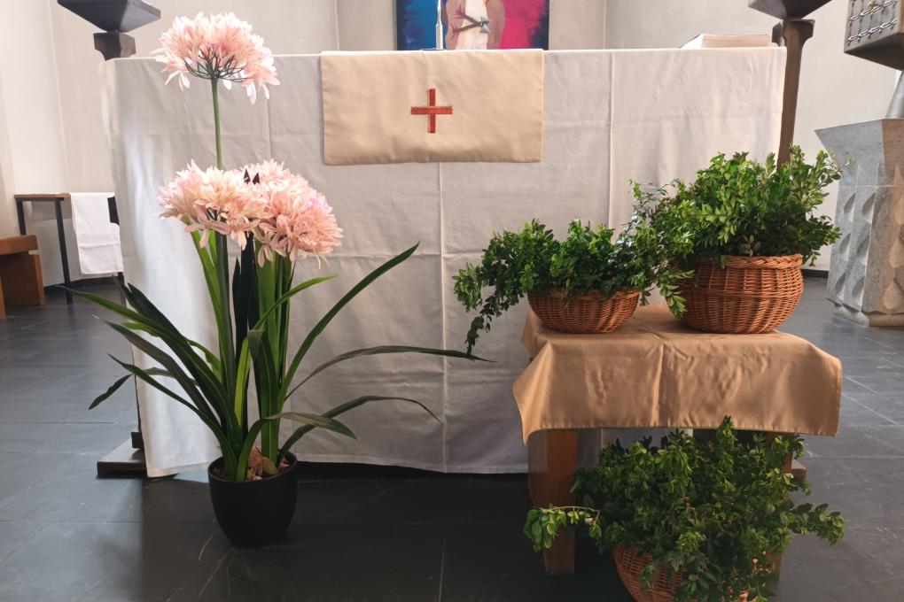 Palmaktion 2026: neue grüne Zweige an unseren Kreuzen erinnern an den Palmsonntag