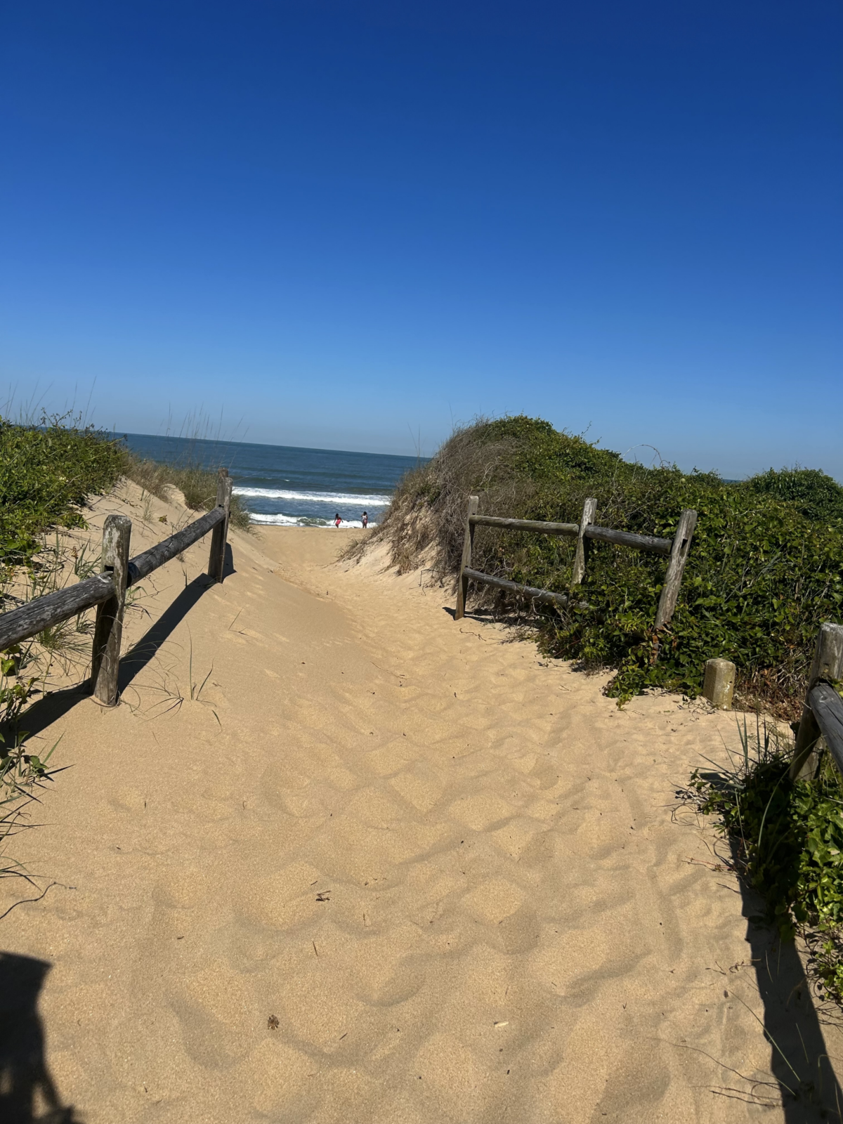 Sandbridge beach in Virginia Beach