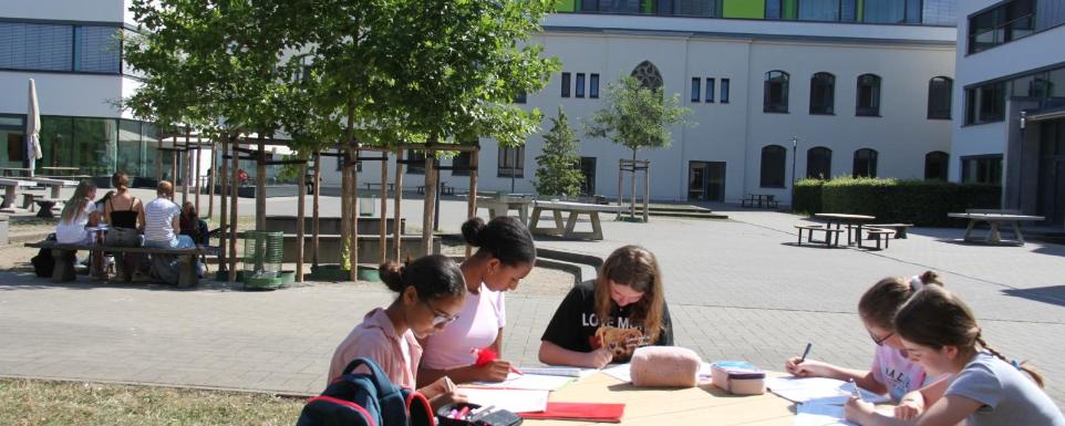 Es geht in kleinen Schritten voran!
