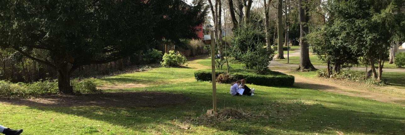 „Frühling, ja du bist's! / Dich hab ich vernommen!“
