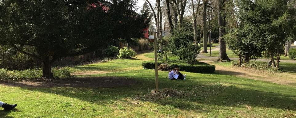 „Frühling, ja du bist's! / Dich hab ich vernommen!“