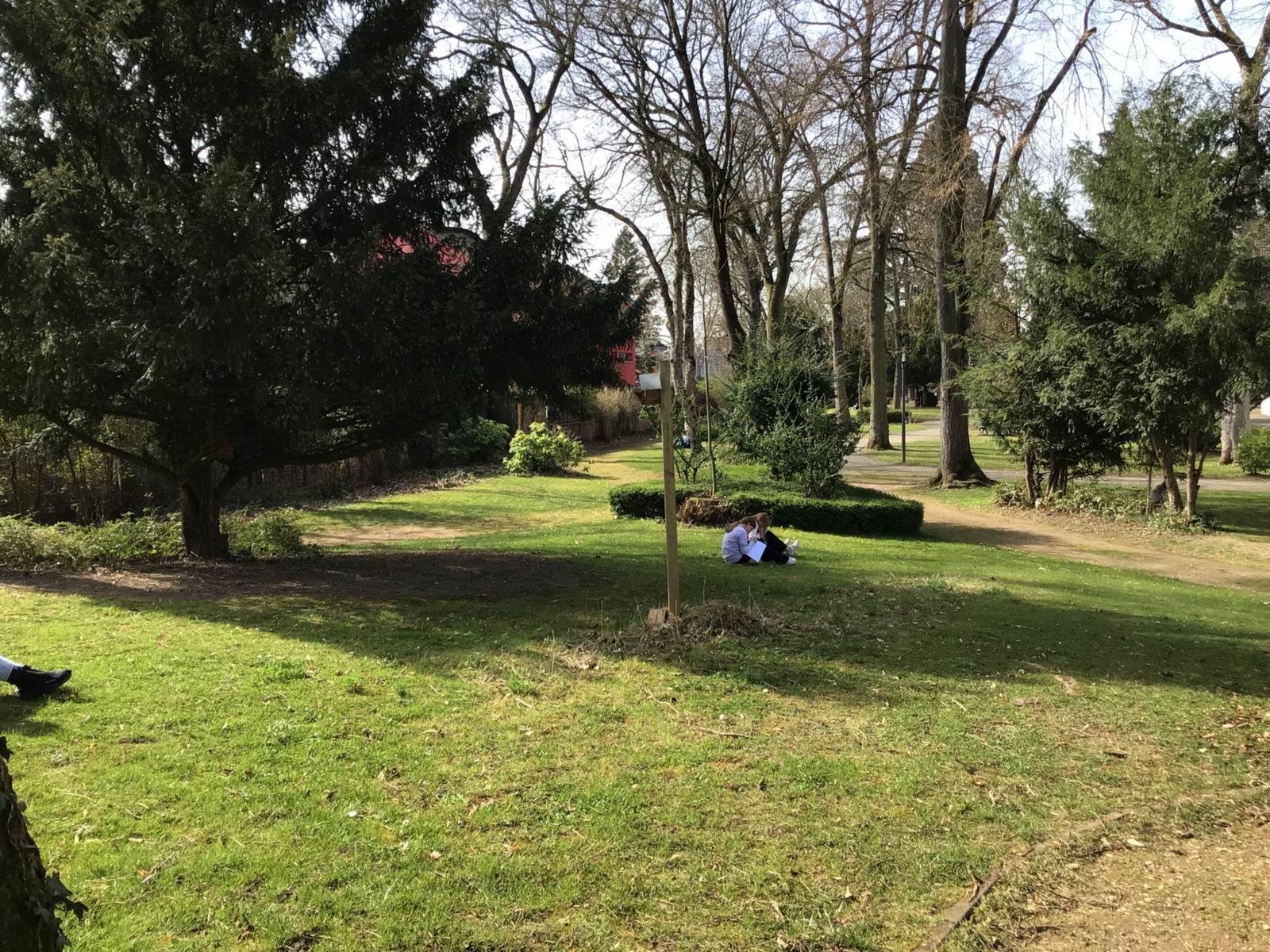 Die Schülerinnen der G6c lassen sich im Park vom Frühling inspirieren