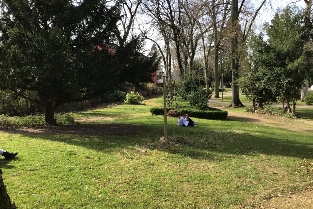 „Frühling, ja du bist's! / Dich hab ich vernommen!“