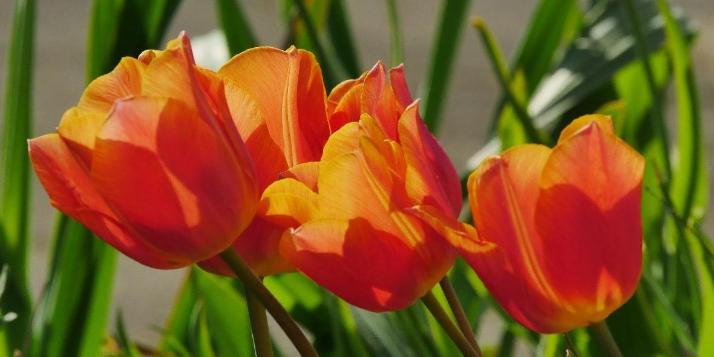 Frohe Ostern und erholsame Ferien!