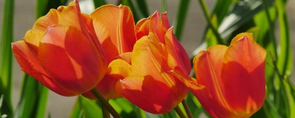 Frohe Ostern und erholsame Ferien!