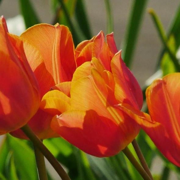 Frohe Ostern und erholsame Ferien!