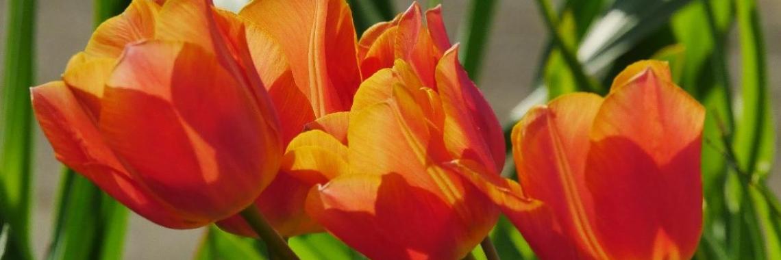 Frohe Ostern und erholsame Ferien!