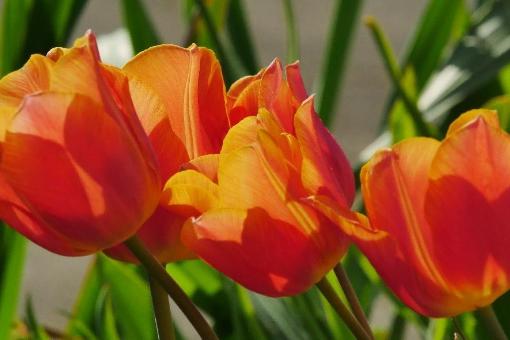 Frohe Ostern und erholsame Ferien!