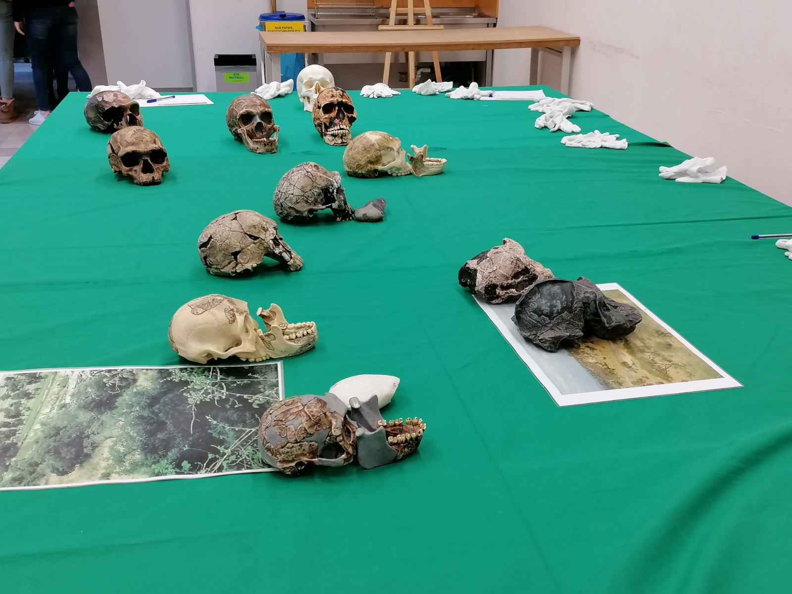 2020-01-21 Neanderthal-Museum Steinzeitwerkstatt Bio LKs Q2 Swär