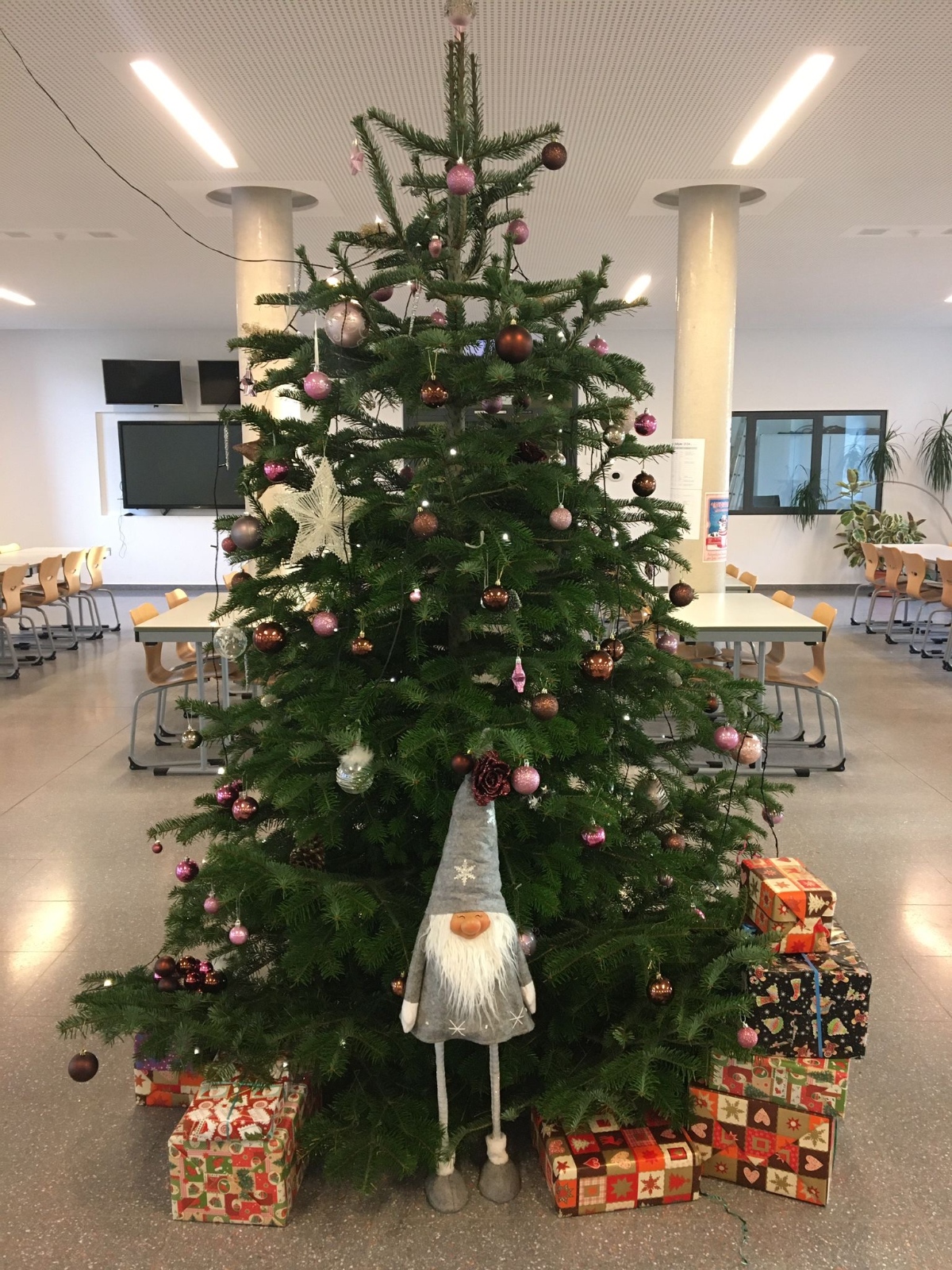 Weihnachtsbaum 2023