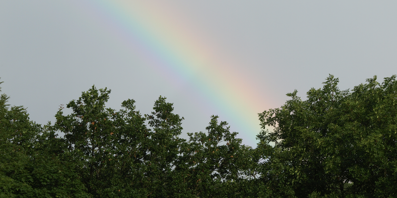 Regenbogen, Erzbistum Köln, Claudia Kellermann