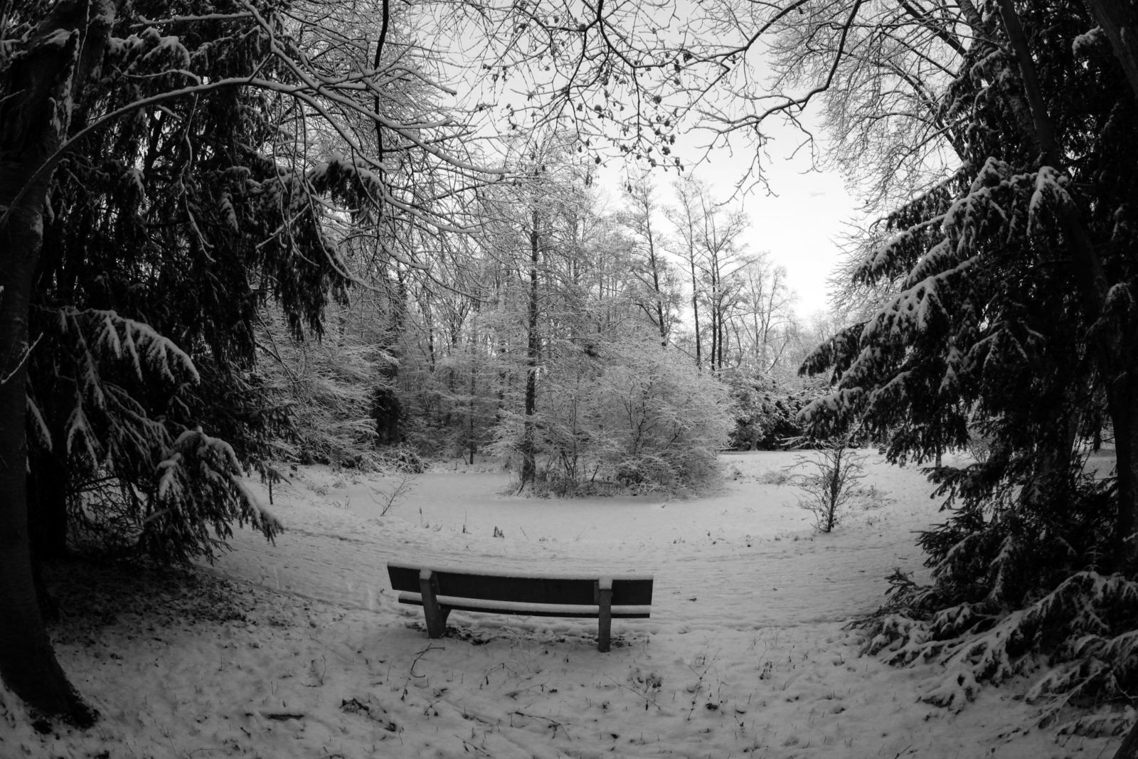 Schnee Rast