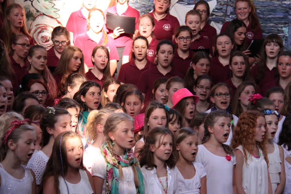 2015-06-05 Sommerkonzert (24)